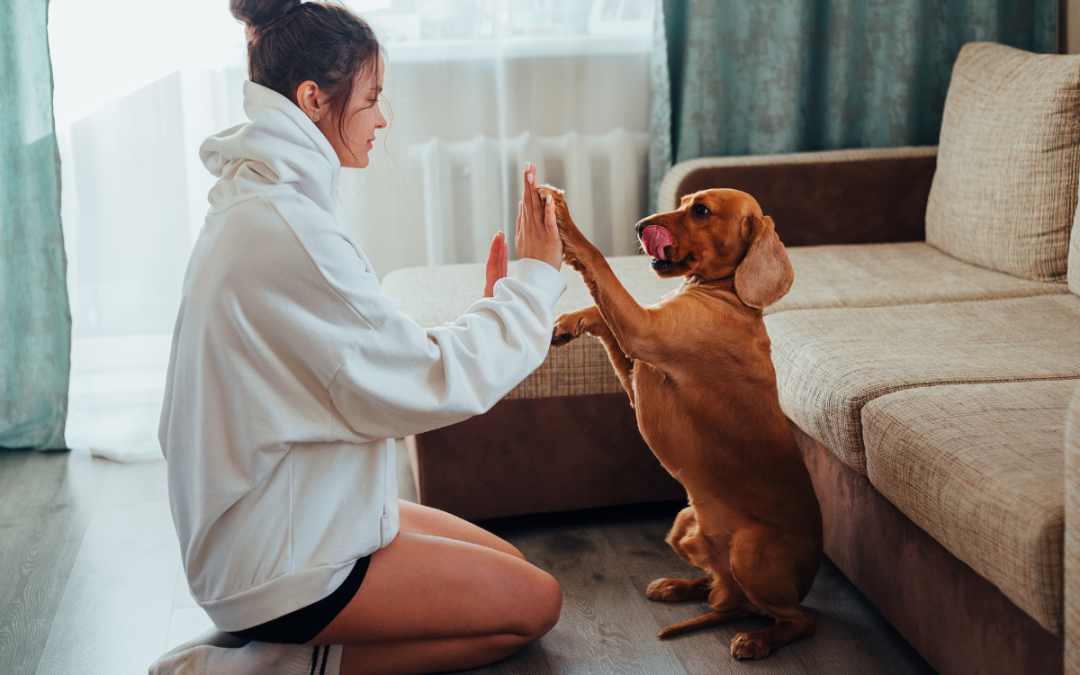 Can My Pet Get Me Sick?