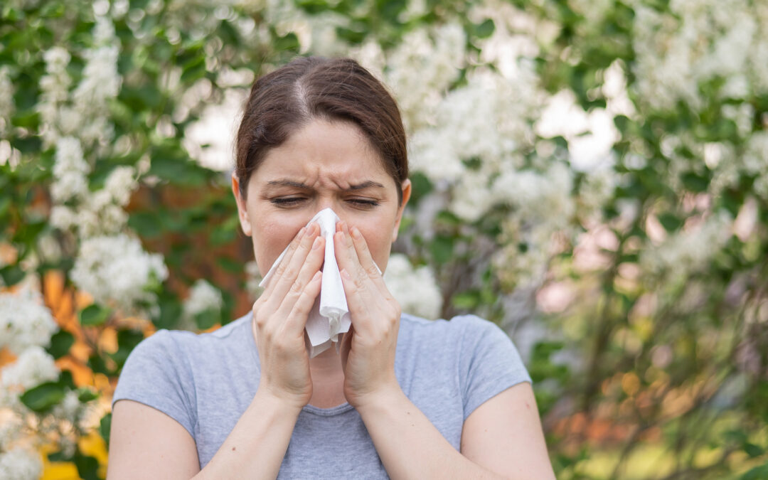 Spring Congestion in South Asheville: Allergies or Sinus Infection?